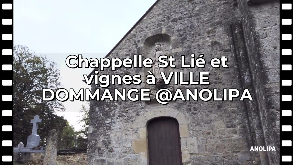 Chappelle St Lié et vignes à VILLE DOMMANGE @ANOLIPA