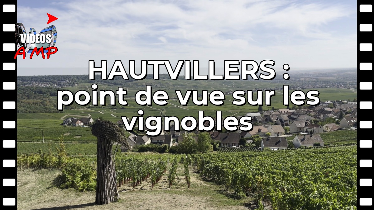 HAUTVILLERS : point de vue sur les vignobles